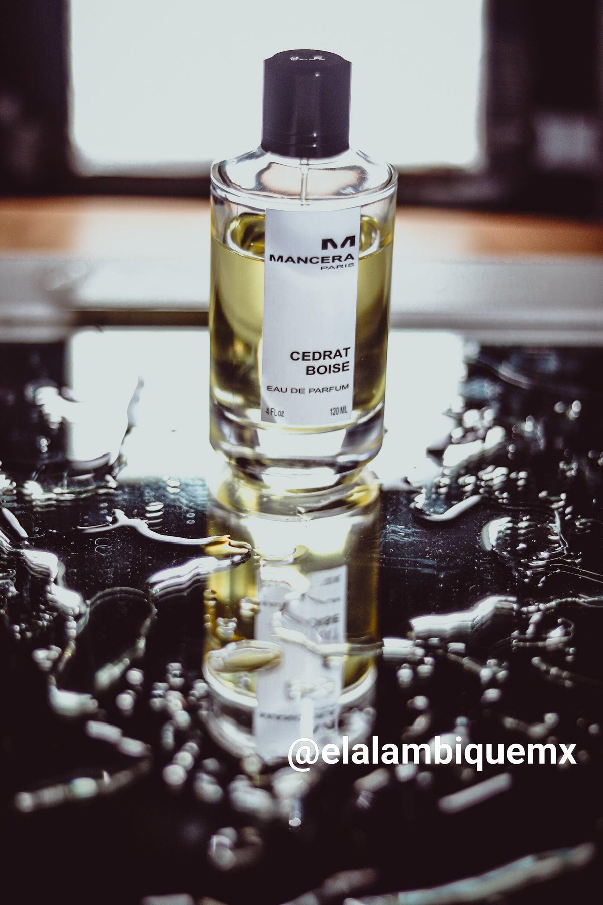 Mancera- Cedrat Boise