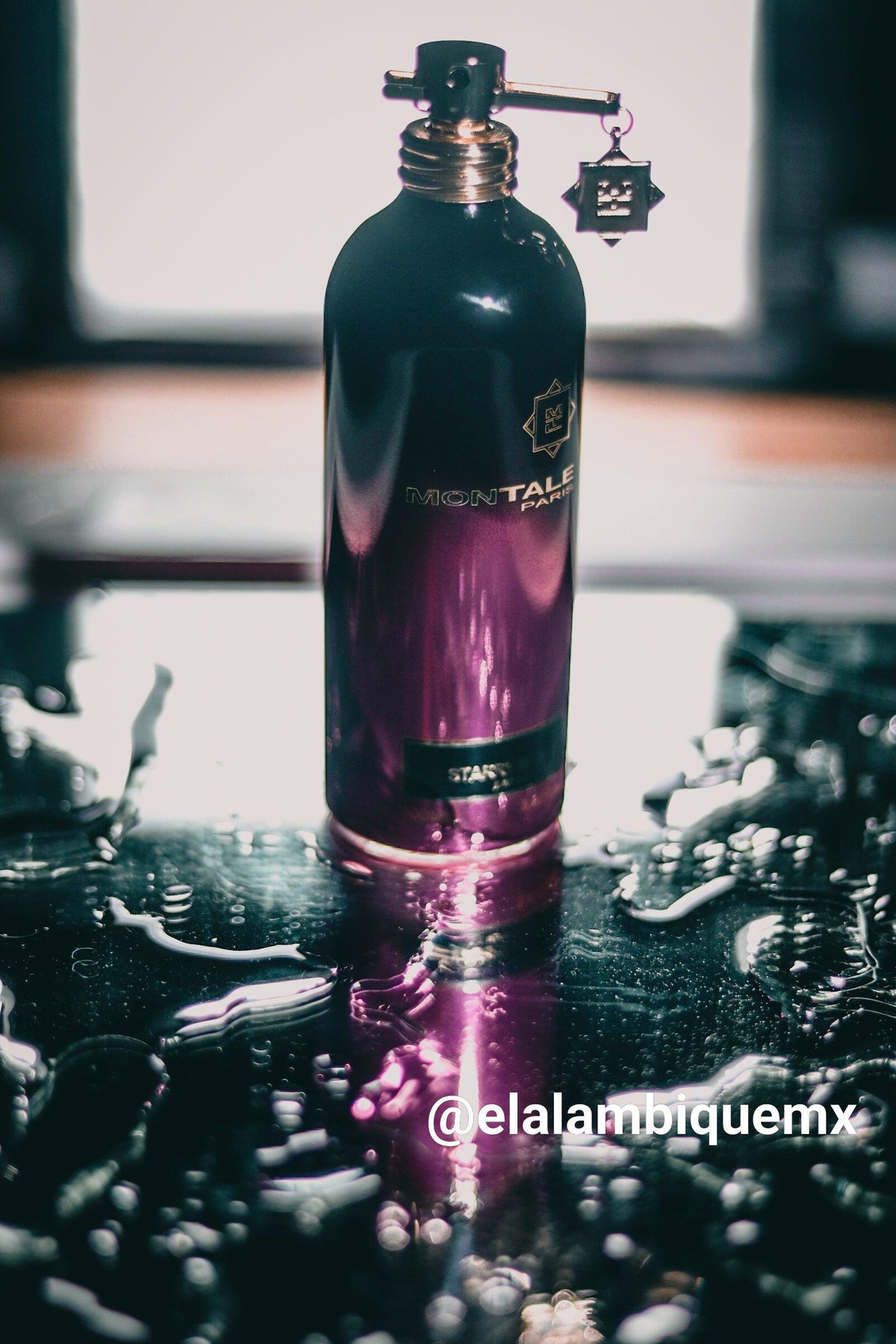 Montale- Starry Nights