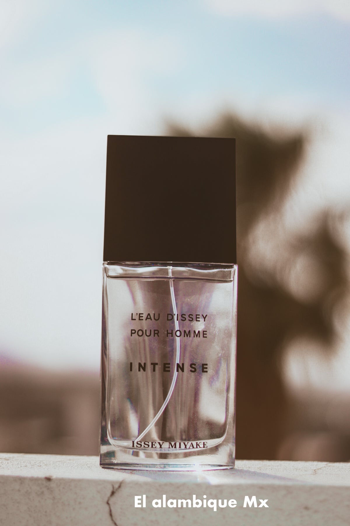 Issey Miyake- l'eau d'issey intense